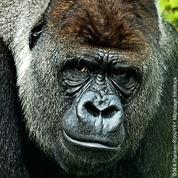 [Picture on page 12]