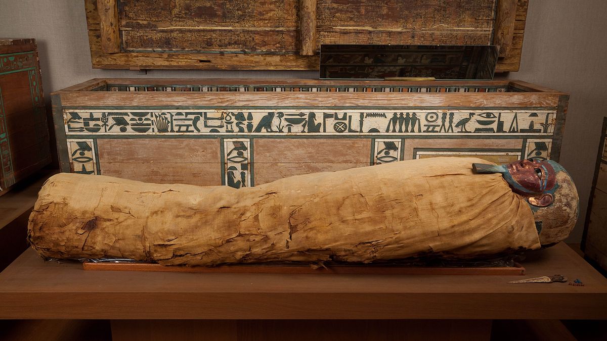An Egyptian mummy on display at a museum.