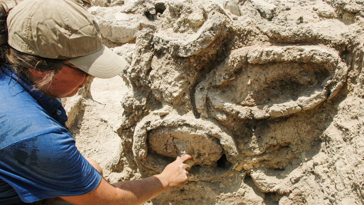 An archaeologist examining clay beehives found in Israel.