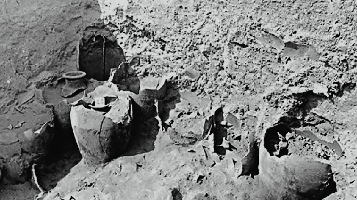 Picture B : Jars of burnt grain discovered at the site of ancient Jericho