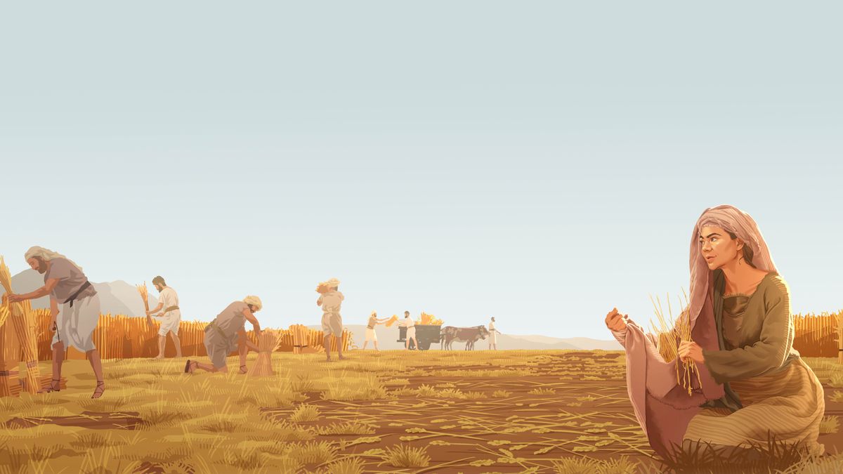 Ruth gleaning barley behind the harvesters in Boaz’ field.