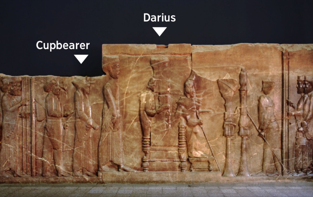 Picture A : Persian relief showing the cupbearer to Darius the Great, the grandfather of Artaxerxes
