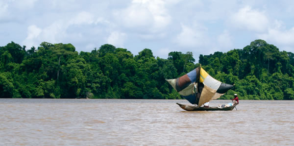 Dugout canoes are a common sight on the Sanaga River. Sails are made from whatever materials are available