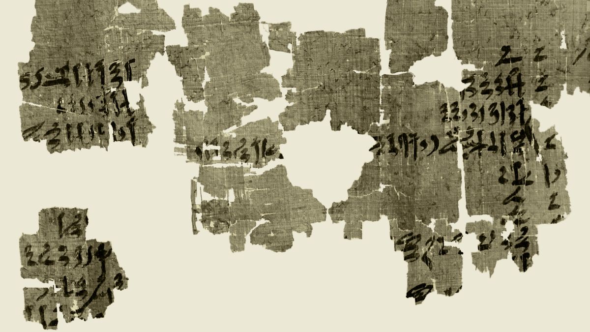 Fragments of a papyrus scroll.