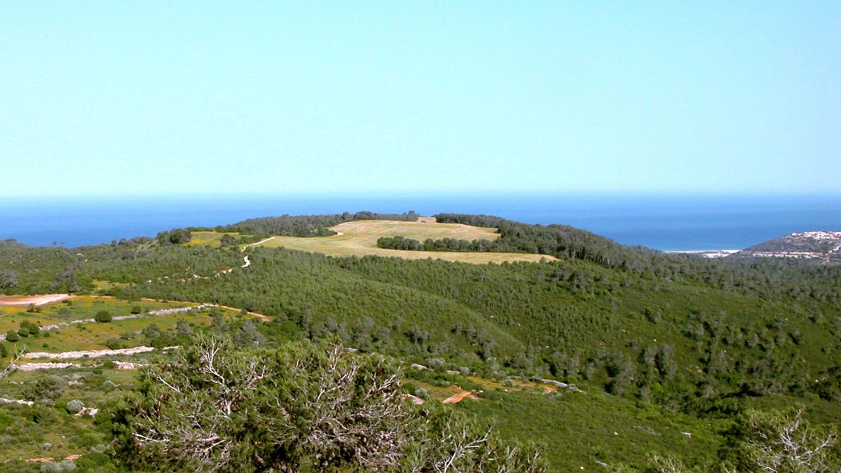 Picture B : View of Mount Carmel and the Mediterranean Sea