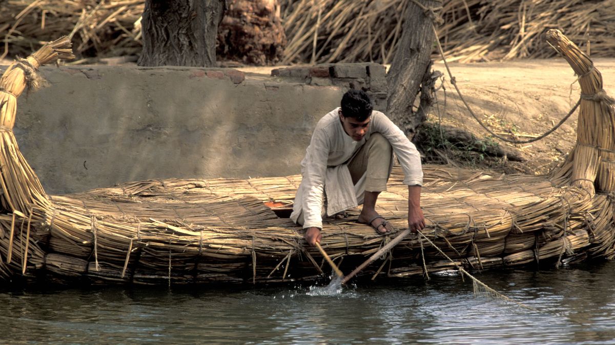 An Egyptian man using papyrus stalks to make a boat.