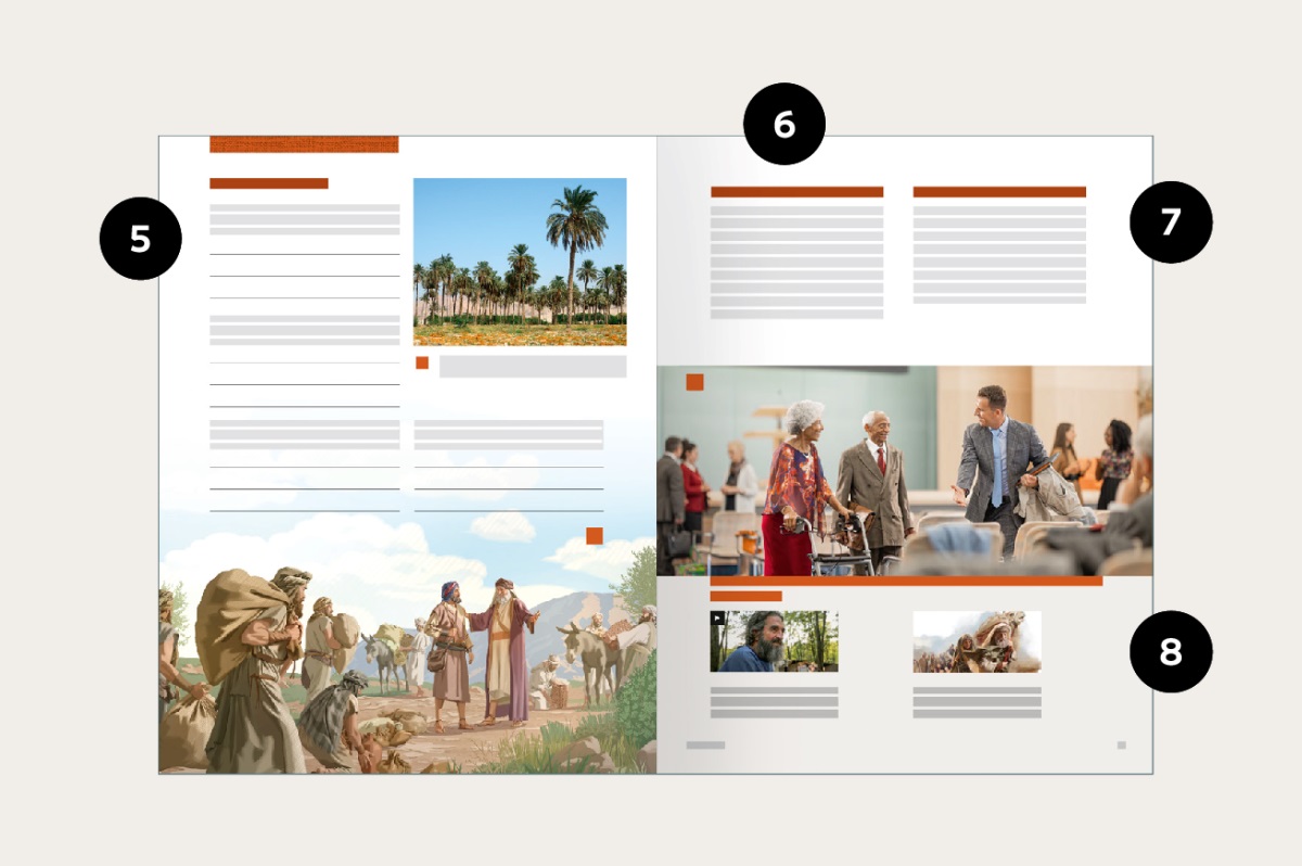 An illustration of pages 30 and 31, identifying where features five through eight of this publication can be located.